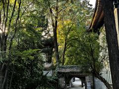 -兴教寺
