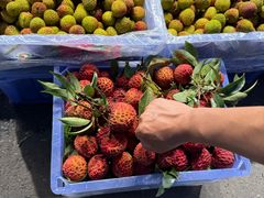 -奎屯友好时尚购物中心