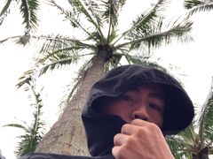 -万绿园