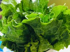 -古乐牛香·鲜牛肉牛杂火锅(新区店)