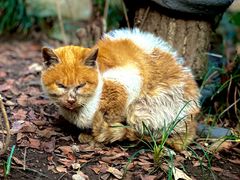 -狼山风景名胜区