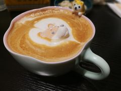 -逗柴咖啡屋·狗咖猫咖宠物桌游