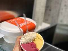 -Dip in Gelato(富民路店)