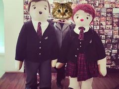 -济州岛泰迪熊博物馆