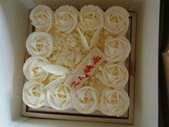 -BLACKSWAN黑天鹅(环球店)