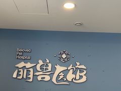 -萌兽医馆·犬猫专科·眼科中心·宠物医院(朝阳门分院)