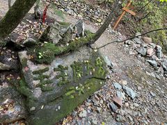 -本溪汤沟绿石谷森林公园