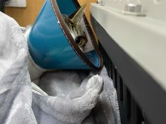 -联合动物医院(光谷诊疗中心)