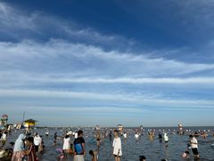 -碧海金沙