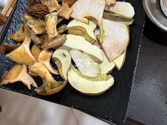 -蘑统田下·野生菌火锅
