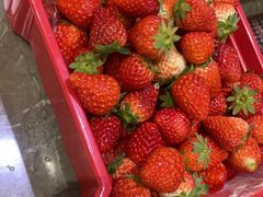 -西郊国际农产品交易中心