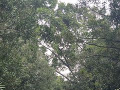 -广州兰圃