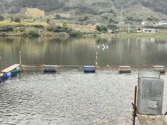 -杨家堂村