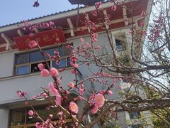 -无锡梅园公园