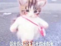 -食其家·牛丼咖喱(苏州永旺店)