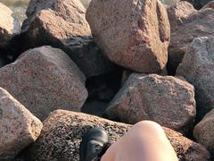 -深圳湾公园(南山区)