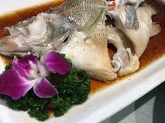 -府苑美食(政七街店)
