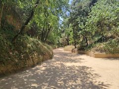 -函谷关历史文化旅游区