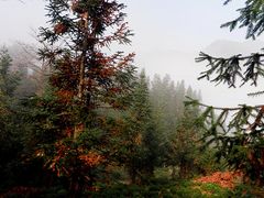 -祁门牯牛降观音堂风景区