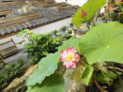 -伴山茶苑·围炉煮茶