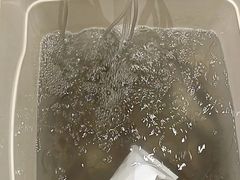 -杨氏青龙虾·羊蝎子(托乐嘉店)