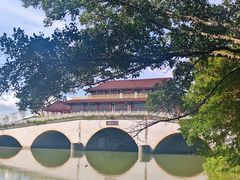 -大湾区中央湿地公园