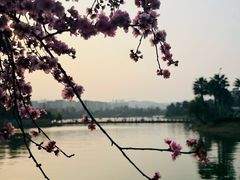 -枫香湖儿童公园