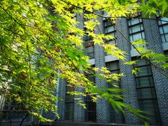 后院-华东理工大学徐汇校区-图书馆