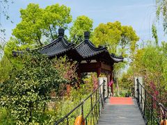 -南汇桃花村