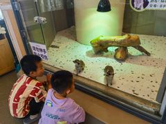 -FAIRYLAND龙族星球主题餐厅(凯丹广场店)