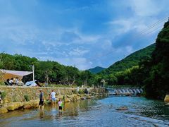 -北仑森林植物园