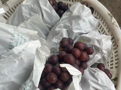 -马陆小张葡萄园农家乐