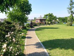 -鹅湖玫瑰文化园