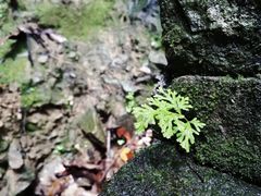 -天目溪漂流
