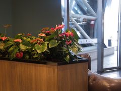 -COSTA COFFEE(水游城店)