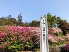 -广州市石门国家森林公园