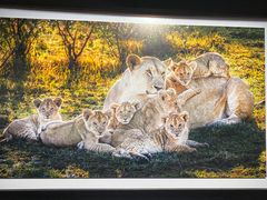 -罗红摄影艺术馆