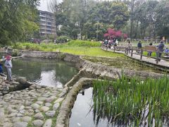 -成都市活水公园