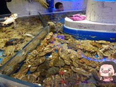 螃蟹-澜悦港海鲜体验主题餐厅
