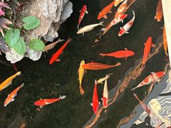 -广州白天鹅宾馆