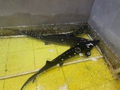 -黑土风情铁锅炖(兴业路店)