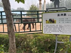 -秦皇岛野生动物园
