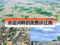 -绿堤公园