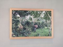 -星巴克(深圳佳宁娜友谊广场店)