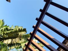 -候鸟水榕庄度假酒店