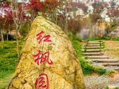 -广州市帽峰山景区