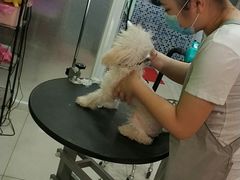 -精灵岛宠物生活馆(洪泽花园店)