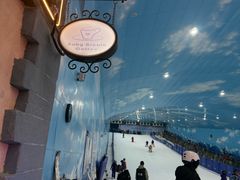 -世界之窗阿尔卑斯冰雪世界