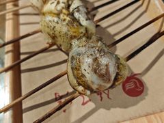 -鸽子窝(青塔店)