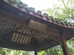 -上海佘山国家森林公园东门地面停车场